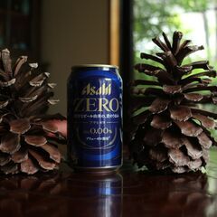 大きい松ぼっくり15個の画像
