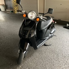 トゥデイ、ＡＦ61、ディオ、人気の黒、