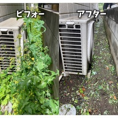 庭木の剪定・伐採、草刈りを適正価格で！