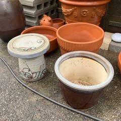 植木鉢セット