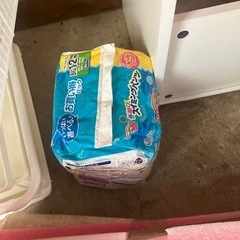 スイミングパンツＢＩＧ