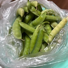 えんどうまた、スナップエンドウ