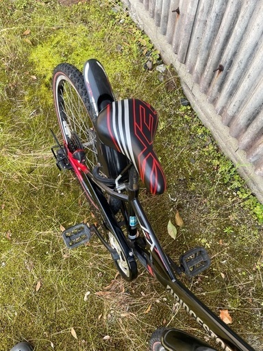 ブリヂストン 24型 エクスプレスジュニア 自転車