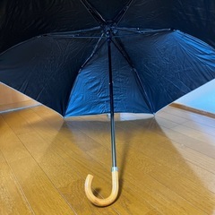 ベルメゾンで購入した日傘の画像