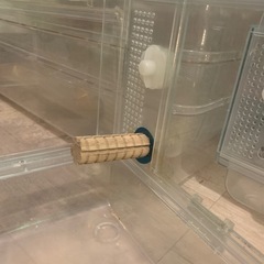 (7/30)更新お問い合わせ可能)ハムスターゲージの画像