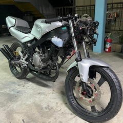 tzr50r