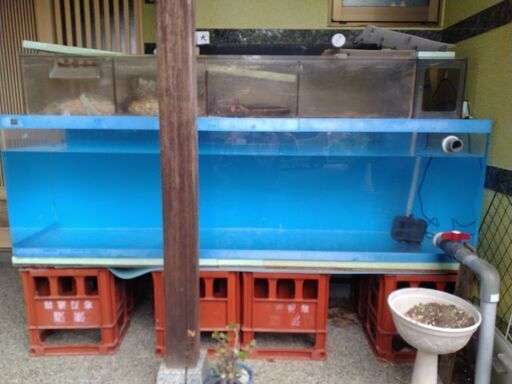 200×60×60　アクリル水槽