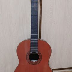 Suzuki Violin C-10.S