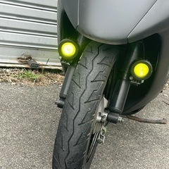 LiveディオAF34の画像