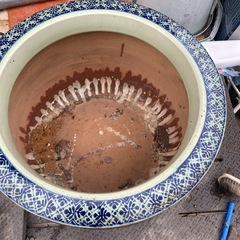 火鉢　メダカ鉢の画像