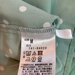 ペパーミントブラウスの画像
