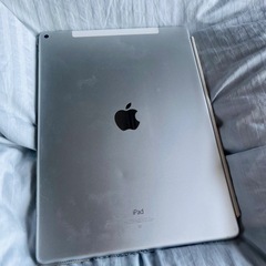 ipad pro第一世代256g wifi