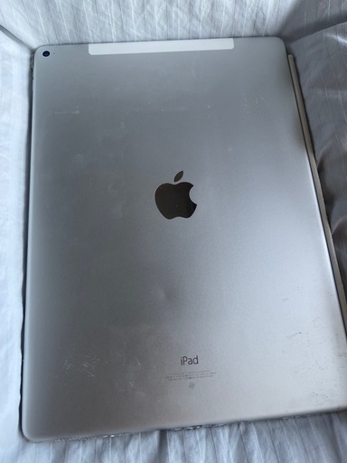 ipad pro第一世代256g wifi