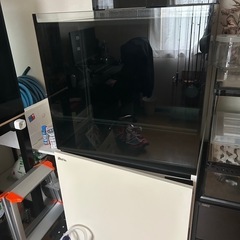 レッドシーMAX E-170