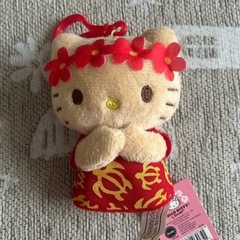 受付終了✴︎ハワイキティ