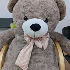 くまのぬいぐるみの画像