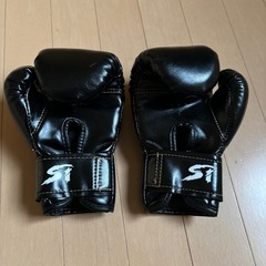 　ボクシンググローブとヘッドギア　子供用の画像