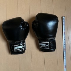 　ボクシンググローブとヘッドギア　子供用