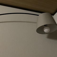 照明