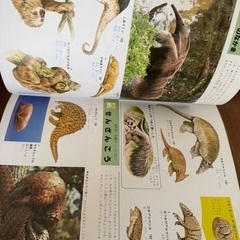 小学館の学習百科図鑑の画像
