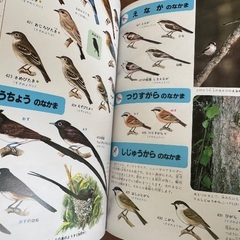 小学館の学習百科図鑑の画像