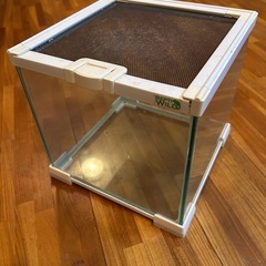 爬虫類ケージ グラスゾーン 20WH