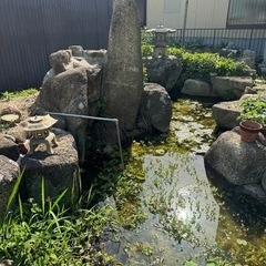 庭石
