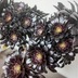 ランキングキーワードに紐づく投稿画像-多肉植物
