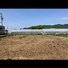 庭の木や草で困っている方いませんか^_^ - 助け合い