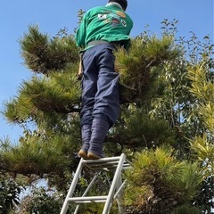 庭の木や草で困っている方いませんか^_^ - 徳島市
