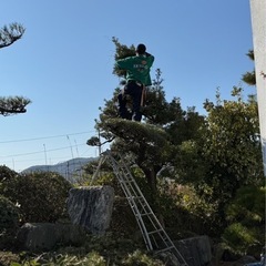 庭の木や草で困っている方いませんか^_^ - 手伝いたい/助けたい