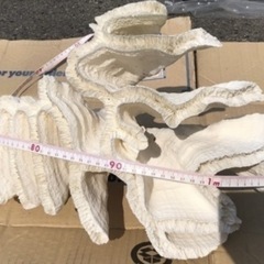 白珊瑚  白サンゴ 置物 オブジェの画像