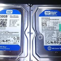 3.5インチHDD sata 250G ｘ2個
