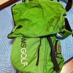 【限定コラボ・廃盤】BRIEFING BEAMSGOLFゴルフ　キャディバッグの画像