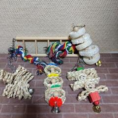 厚木方面🆗インコ🦜の玩具