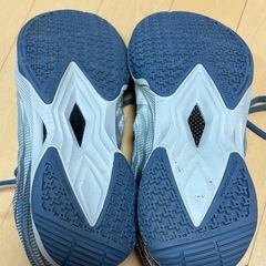 ヨネックスバドミントン
シューズの画像