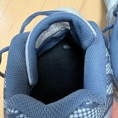 ヨネックスバドミントン
シューズの画像
