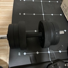 Amazonで購入したダンベル10キロ　一つ