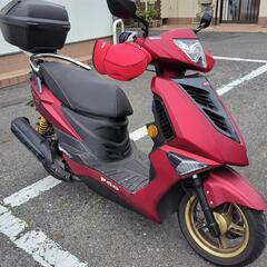 PGO ティグラ168R 自賠責保険来年12月付き