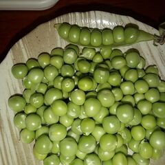 グリンピース１００ｇ約２２本。残り500gほどです。無農薬無化学肥料で育てました💚の画像