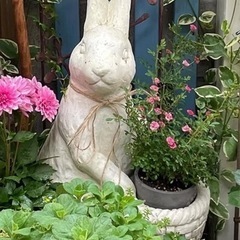 🤎おしゃれなウサギのプランター♡ガーデン雑貨♡鉢カバー🐇