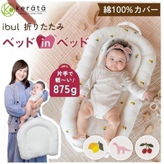 ベッドインベッド 