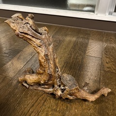 流木