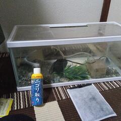 0円　水槽　エアーポンプ　フィルター（テトラAT50）