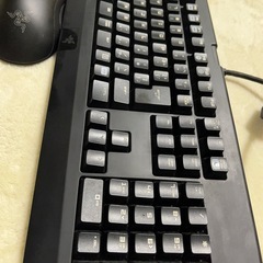 RAZER RZ03-0039 キーボード RZ01-0201 USBマウスの画像