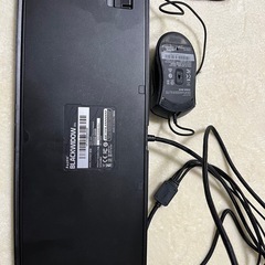 RAZER RZ03-0039 キーボード RZ01-0201 USBマウスの画像