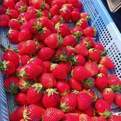 こんにちは、はじめまして、初めてのご利用です、よろしくお願いします💓