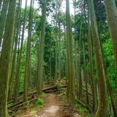 ▶6/22 京都/登山