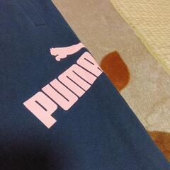 PUMAプーマスウェット生地ハーフパンツ（膝下）の画像