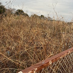 草刈り便利屋♪